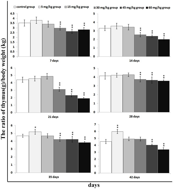 Changes of relative weight [thymus (g)/body weight (kg)] in the thymus