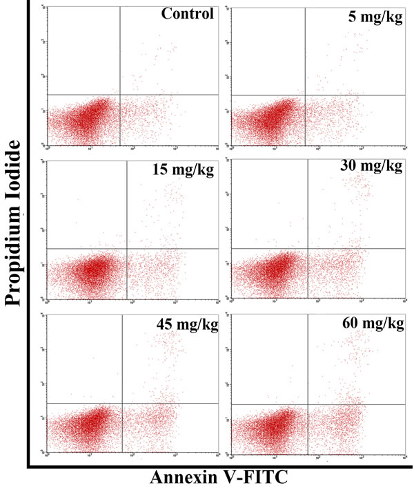 Changes of the apoptosis in the thymus by flow cytometry at 42 days of age.