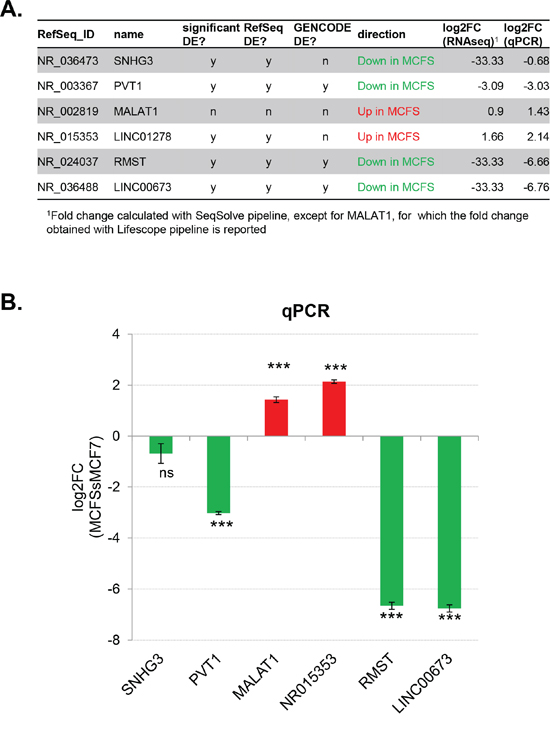 Selection and validation of differentially expressed non-coding RNAs.