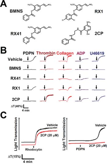 Selective inhibition of PDPN-induced platelet aggregation by 2CP.