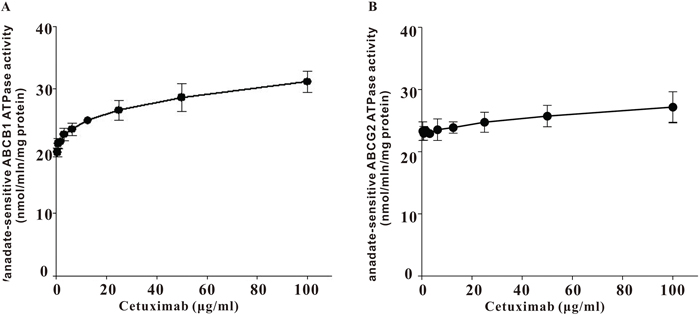 Effect of cetuximab on ATPase actvity of ABCB1 and ABCG2.