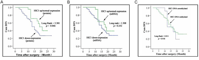 Correlation of HIC1 expression level and its methylated status with survival of ESCC patients.