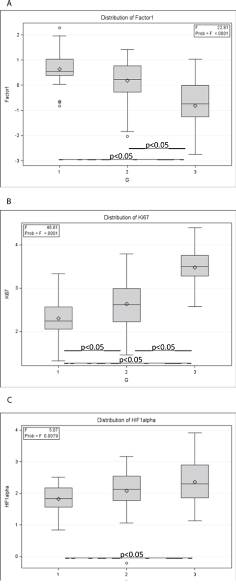 Associations of the tumour immunophenotype to histological grade (G).