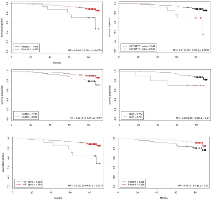 Cutoff values for the predictors of overall survival.