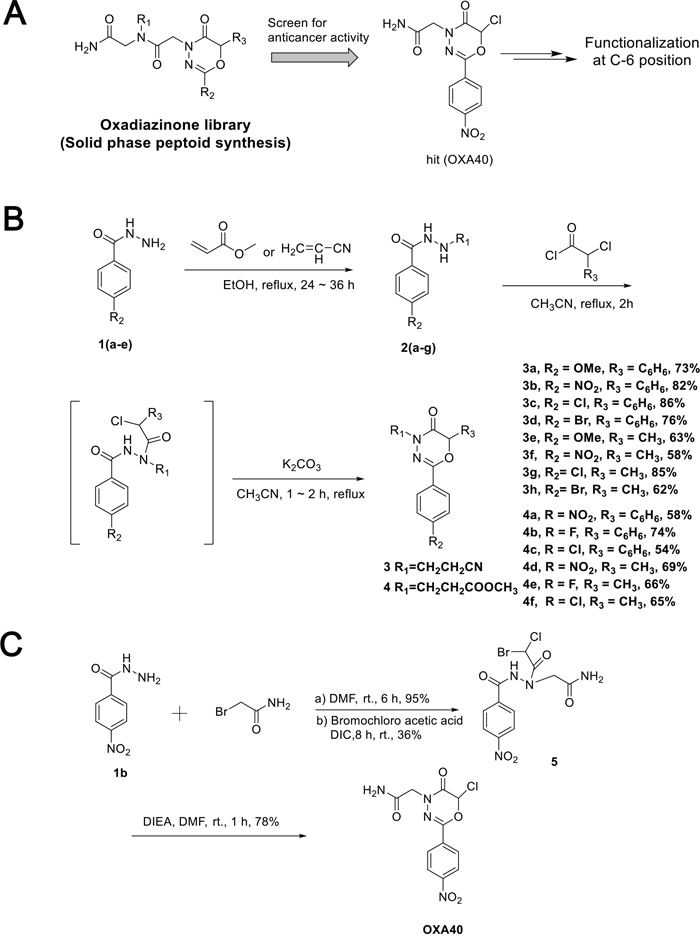 Synthesis of oxadiazinone derivatives.