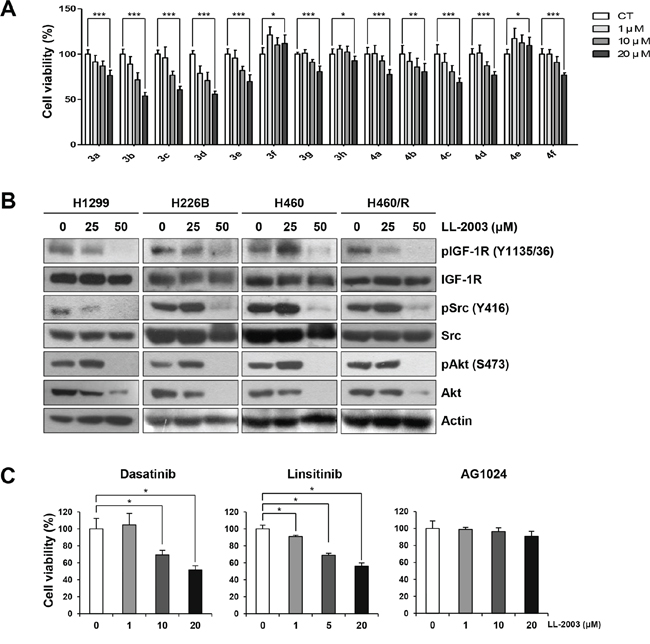 Suppression of cell viability and IGF-1R and Src signaling by treatment with LL-2003.