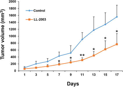Antitumor effect of LL-2003 in a tumor xenograft model.