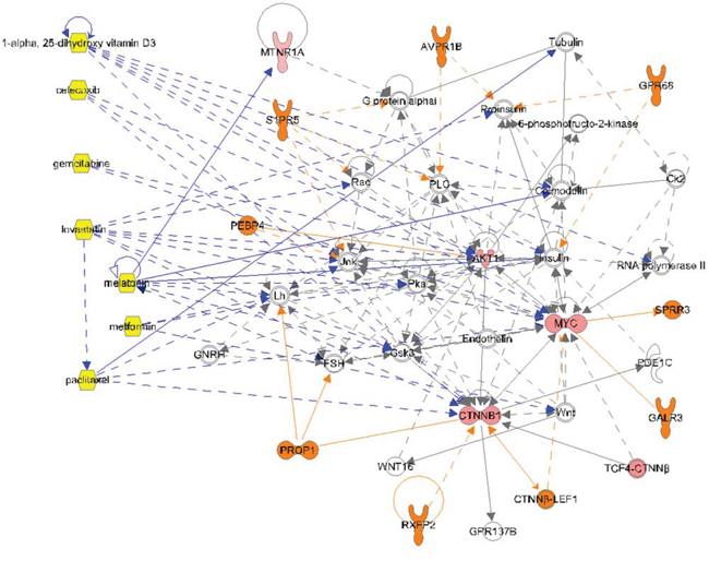 Complex molecular signaling network for osteosarcoma Patient #1.