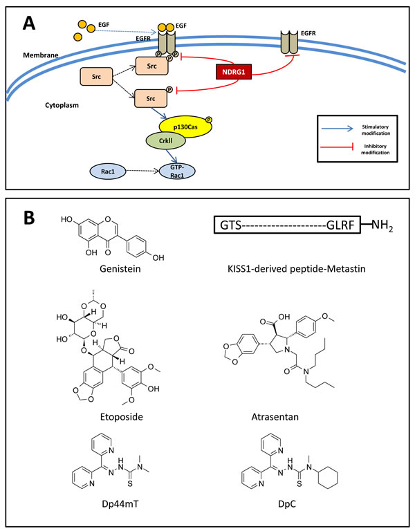 Figure 6: