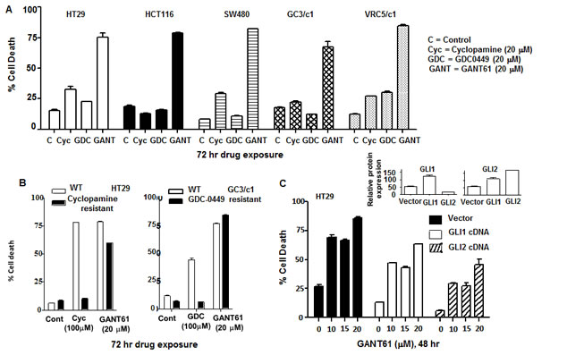 GLI is the critical target in switching off HH survival signaling.