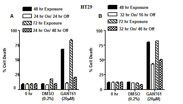 Model of DNA damage and DNA repair in HT29 cells following GLI1/GLI2 inhibition.