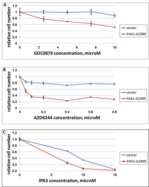 The effect of dominant-negative PAK1 on response of A375 cells to GDC-0897, AZD6244 and IPA3.