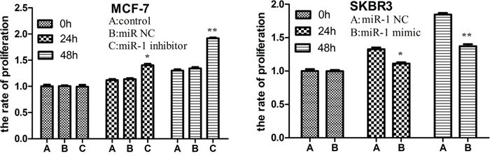 miR-1 inhibits breast CSC proliferation in vitro.