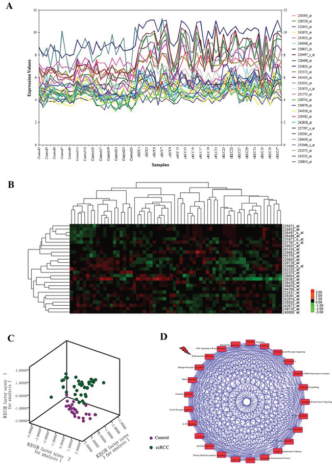 CcRCC gene signatures identification and signaling pathway enrichment analysis of ccRCC regulatory networks.