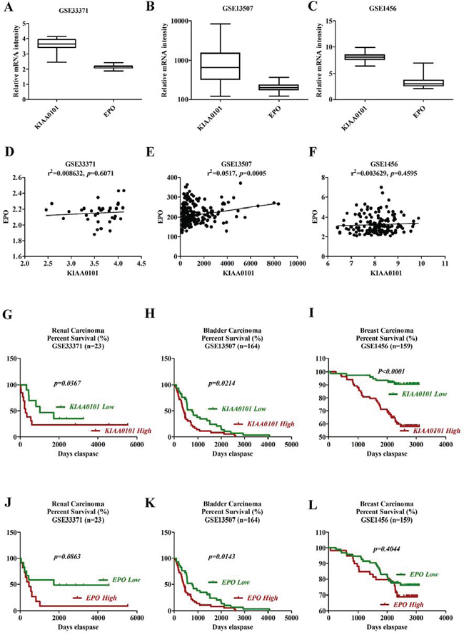 Survival analysis of KIAA0101 and EPO in clinical cancer samples.