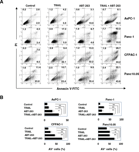 Apoptosis in pancreatic cancer cell lines treated with the combination of TRAIL and ABT-263.