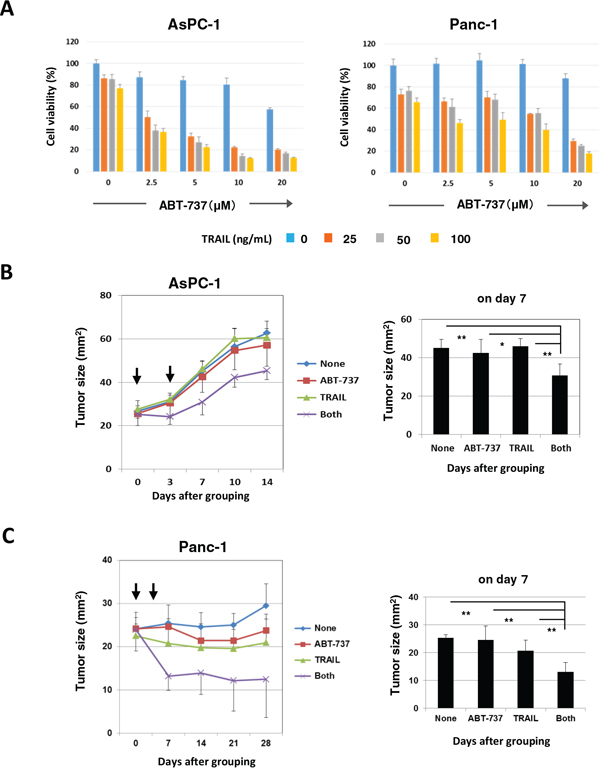 In vivo antitumor effect of DTX and ABT-737 on the growth of PC3 cells.