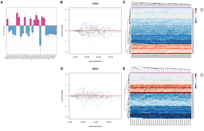 Analysis of colorectal cancer (CRC) patients&#x2019; micro (mi)RNA expression profiles.