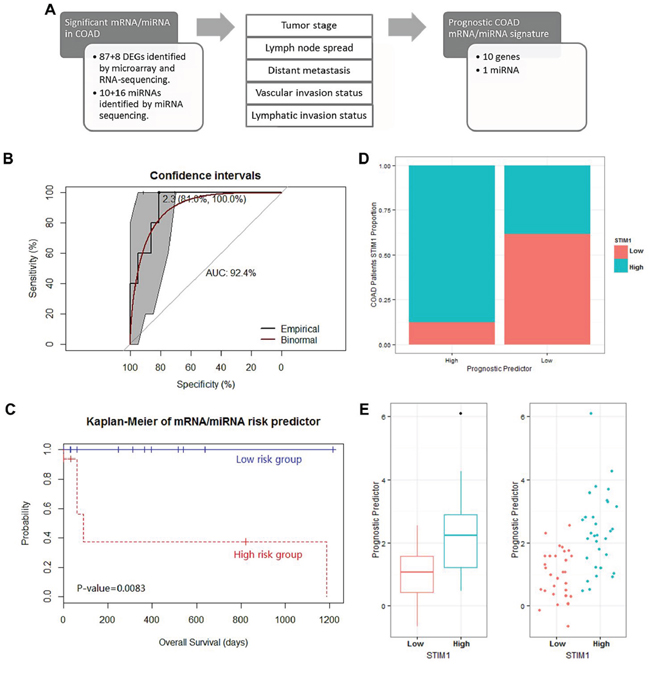 Analysis of the prognostic mRNA/micro (mi)RNA signature identification in 63 colon adenocarcinoma (COAD) patients and their performance in survival prediction.