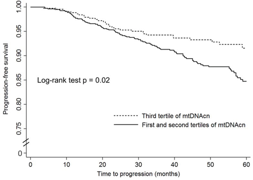 The Kaplan&#x2013;Meier progression-free survival curves by mitochondrial DNA copy number in peripheral blood leukocytes among localized prostate cancer patients who received active treatments.