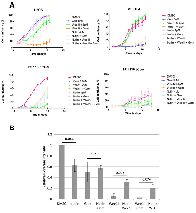 Nutlin protects cells against Wee1 inhibition and/or gemcitabine.