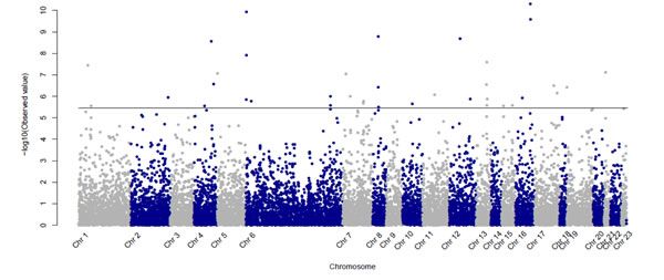 Manhattan Plot presenting p-values (-log10 scale) for the association between CML patients and controls for the 13 937 SNPs passing quality control criteria.