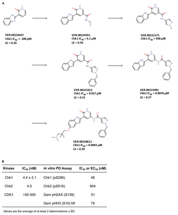 Identification of V158411 by fragment elaboration utilizing structure guided drug design.