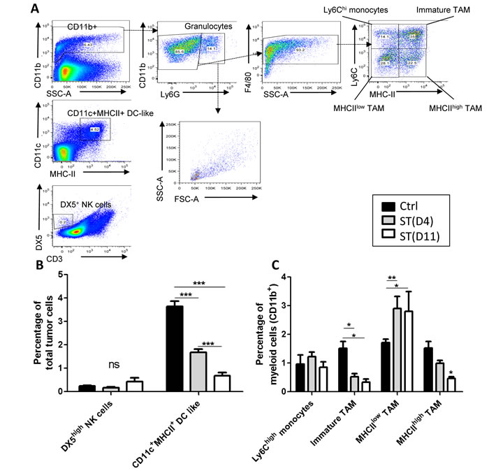 FACS analysis of cells isolated from primary tumors subjected to hypofractionnated RT.