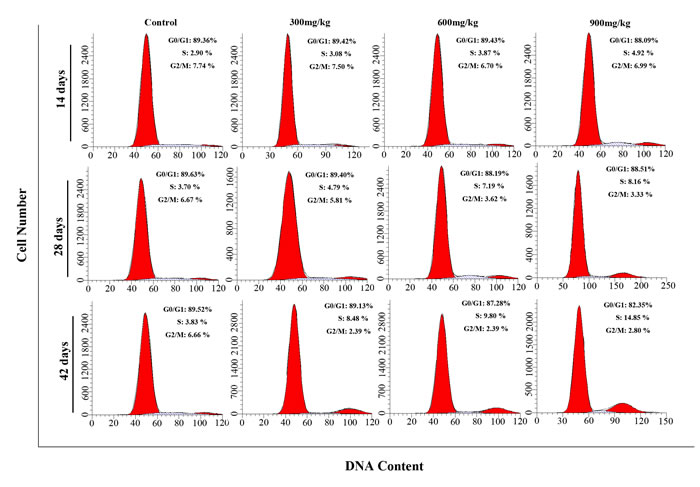 Cell cycle changes in the kidney by flow cytometry.