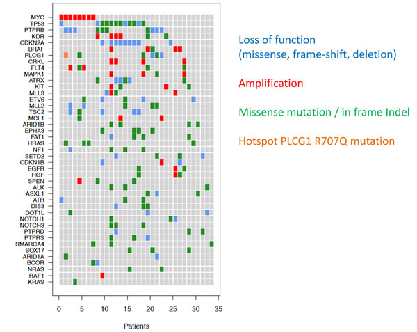 Co-occurence of mutations in angiosarcoma samples.