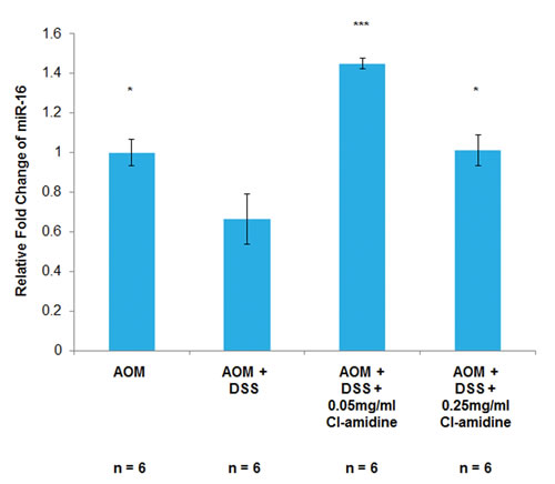 MiR-16 expression is increased in the colon epithelial cells of mice treated with Cl-amidine.