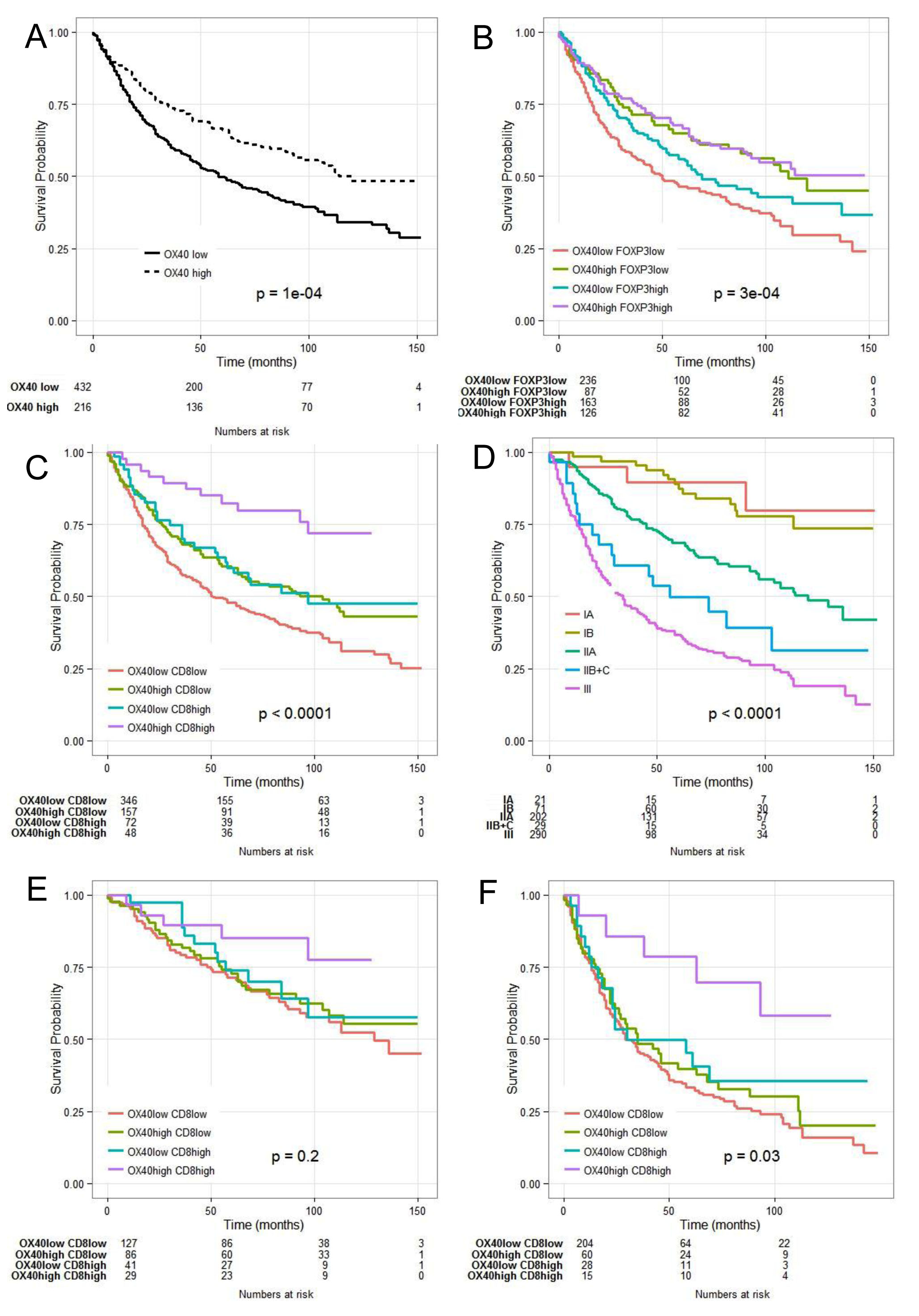Combined Kaplan- Meier analysis of OX40+ and CD8+ infiltration results in enhanced prognostic significance in CRC.