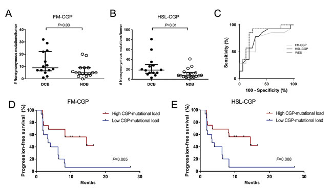 CGPs-mutational load is significantly associated with clinical benefit of anti-PD-1 therapy in NSCLCs.