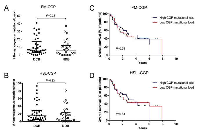 CGPs-mutational load is not associated with clinical benefit of anti-CTLA-4 therapy in Melanomas.