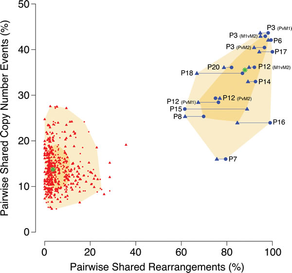 Comparison of tumor similarity based on DNA copy number versus chromosomal rearrangement patterns.