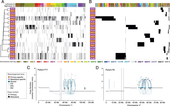 Hierarchical clustering of primary and metastatic breast tumors using all enumerated chromosomal rearrangements.