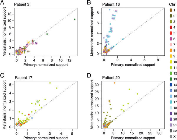 Chromosomal rearrangement clonality plots for patients P3