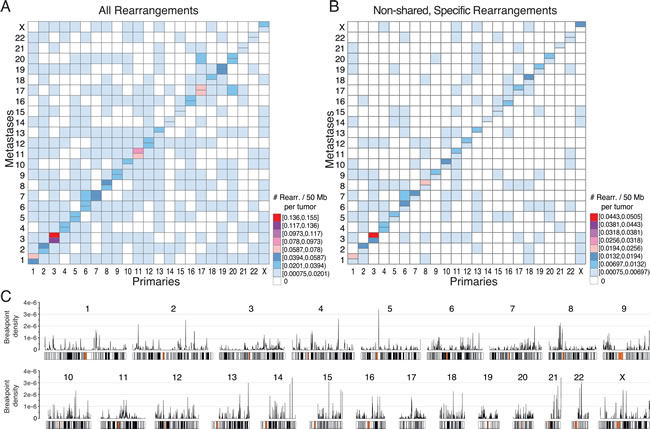 Overview of chromosomal rearrangement hotspots across all breast cancer samples.