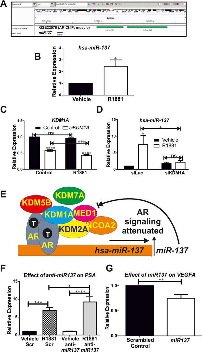 Figure 5: