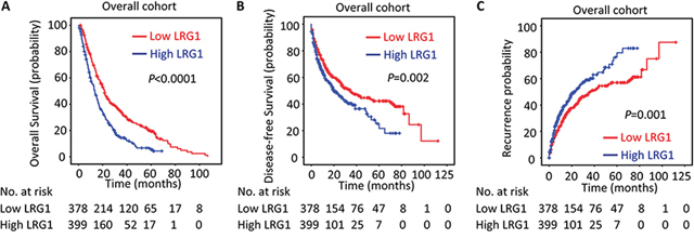 LRG1 expression is correlated with poor outcome in overall cohort.
