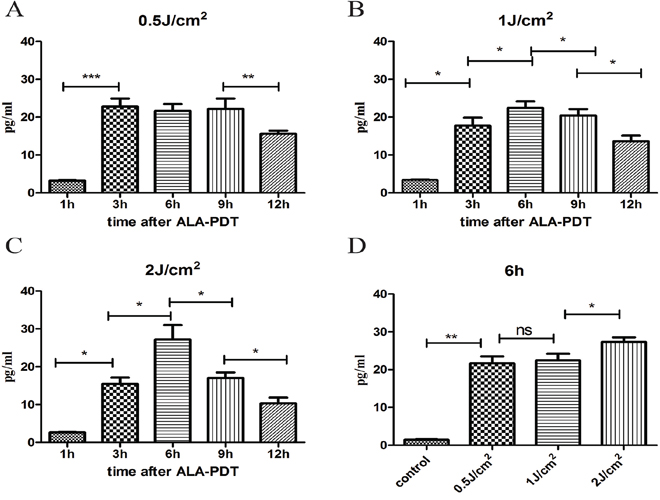 Extracellular release of HSP70 induced by ALA-PDT.