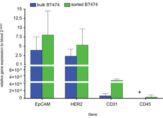 qRT-PCR comparing gene expression of bulk BT474 (BT474b) (blue) and sorted BT474 (BT474s) (green) to PB.