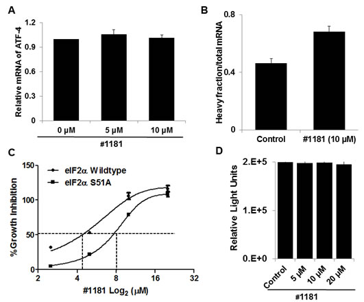 #1181 increases the recruitment of ATF-4, a downstream effector eIF2&#945; phosphorylation, to heavy polysomes but does not inhibit protein synthesis in cell-free extracts.