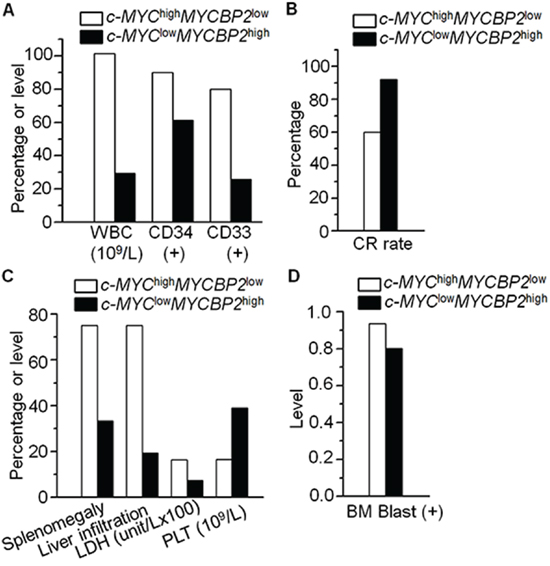 Correlation of c-MYChigh MYCBP2low expression with clinical features in ALL.