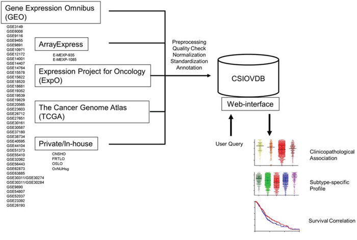 Structure of CSIOVDB.