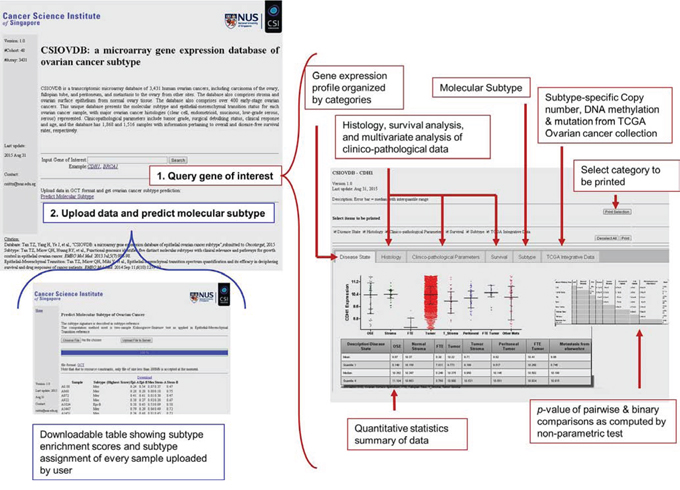 Screenshot of CSIOVDB.