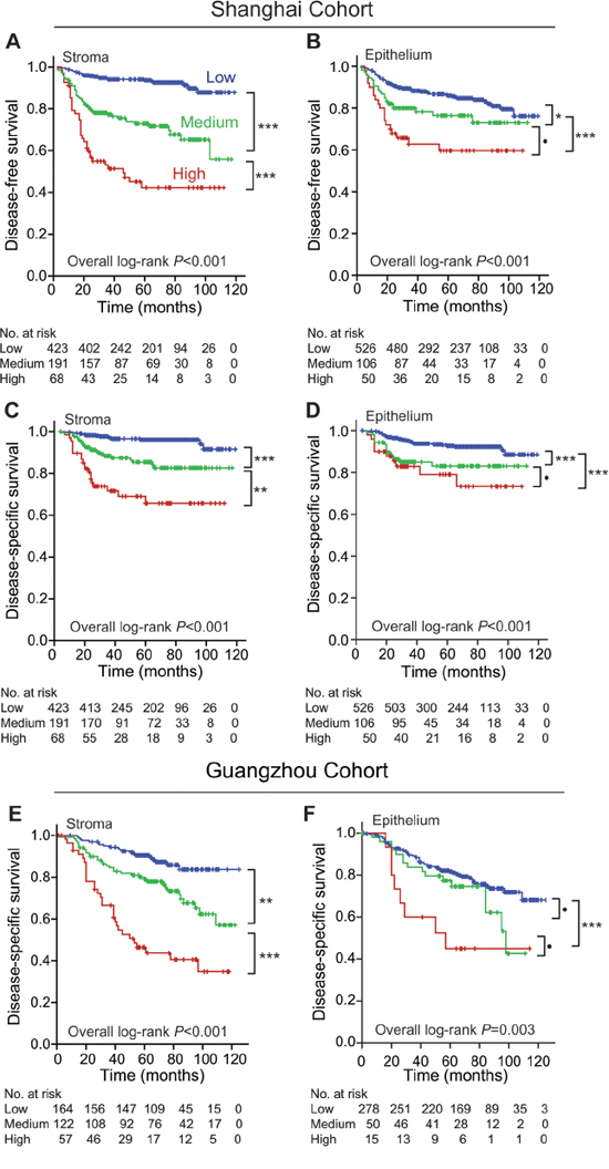 Comparison of discriminatory performances between stromal and epithelial POSTN expression in predicting postoperative prognoses of stage I&#x2013;III CRC patients in both cohorts.
