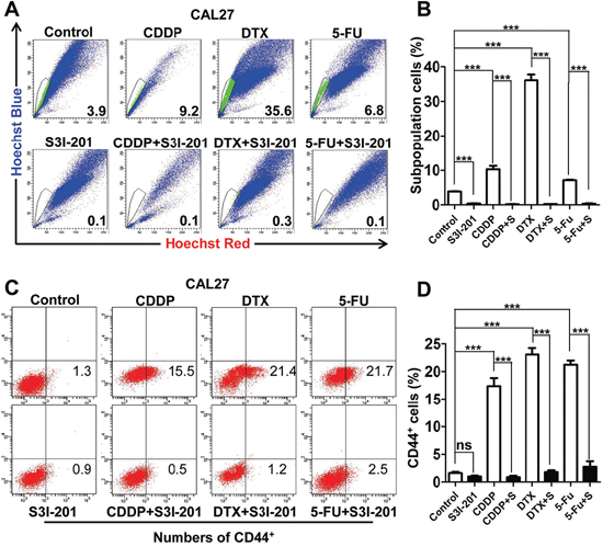 STAT3 inhibition attenuates chemo reagents enriched CSCs population in vitro.