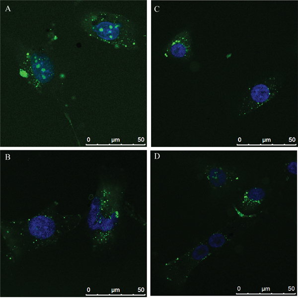 Figure 2: