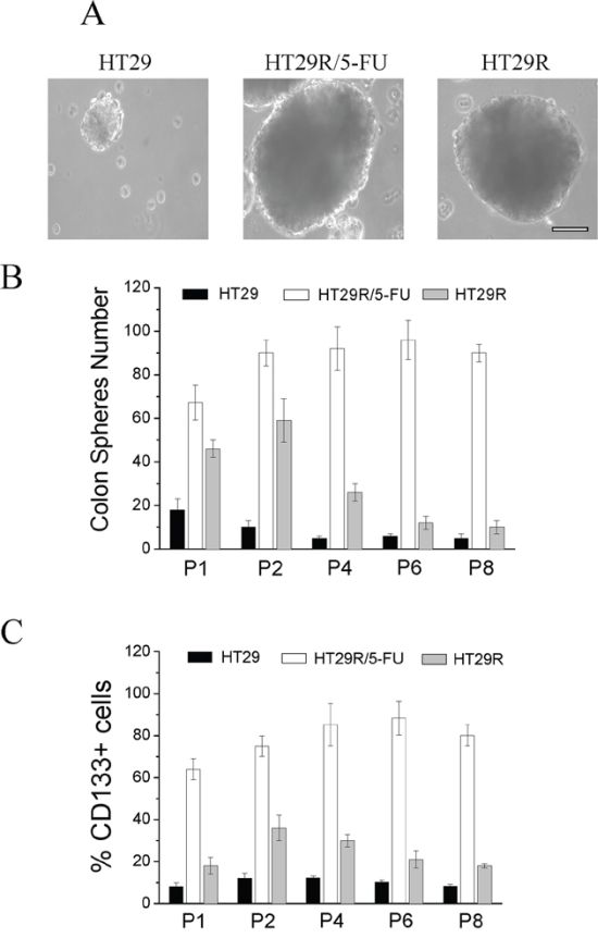 Analysis of stemness of HT29, HT29R and HT29R/5-FU cells.